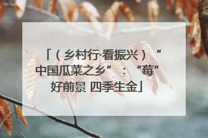 （乡村行·看振兴）“中国瓜菜之乡”：“莓”好前景 四季生金